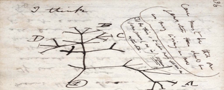 Read more about the article Darwin’s Semantic Voyage
