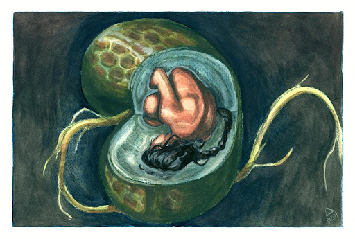 On textured paper is an illustration of a woman sleeping inside a seed that is sprouting from two sides.The cross-section of the seed reveals a fleshy green inside, in which she lays. The outside of the seed is covered in a hive-like pattern in greens and browns.