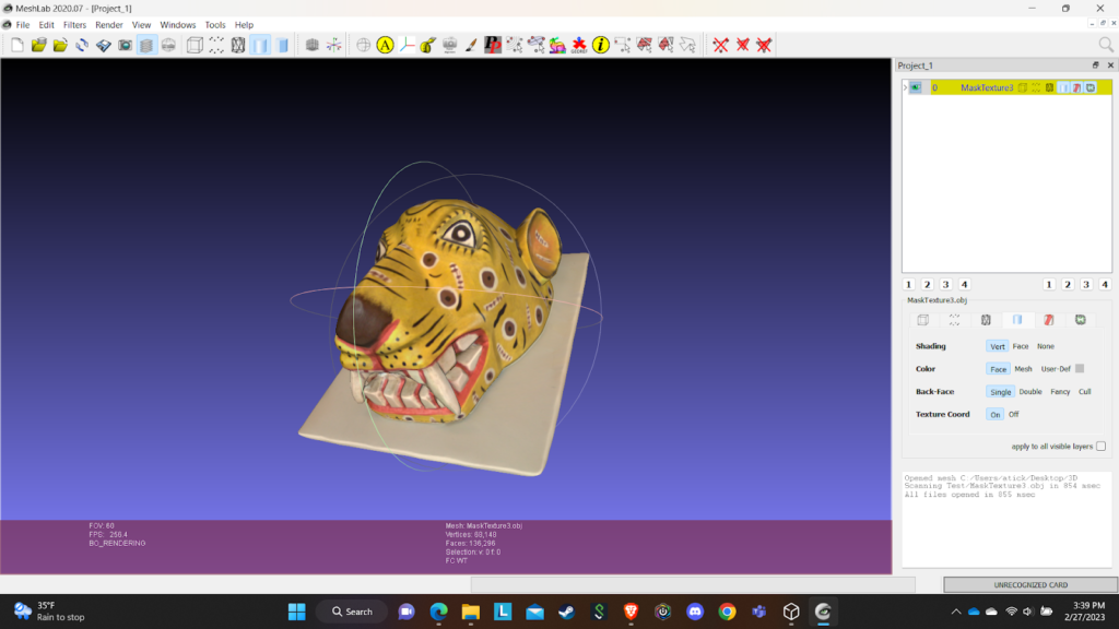 Screenshot of a 3D scan 